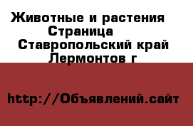  Животные и растения - Страница 36 . Ставропольский край,Лермонтов г.